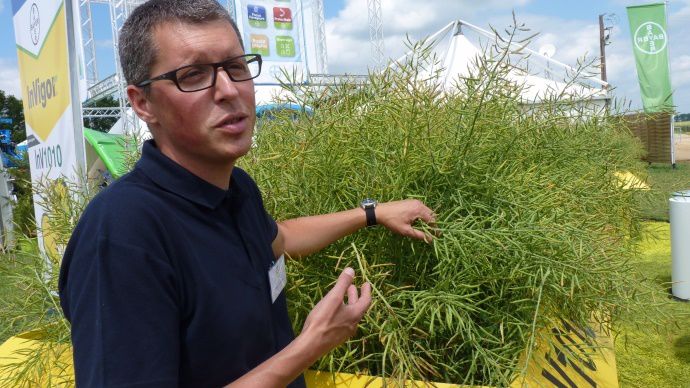 Fabien Goraguer, responsable développement semences de Bayer.