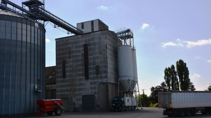 Le silo de Coulombs accueil l'été jusqu'à douze espèces différentes