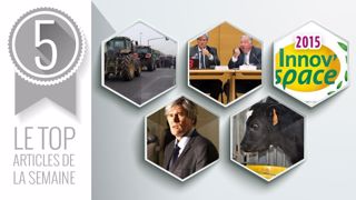 Les articles les plus lus de la semaine sur Web-agri (©Terre-net Média) Les articles les plus lus de la semaine sur Web-agri (©Terre-net Média)