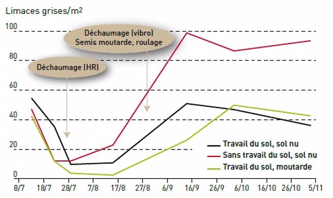 Figure 1 : Impact du travail du sol sur les limaces grises.