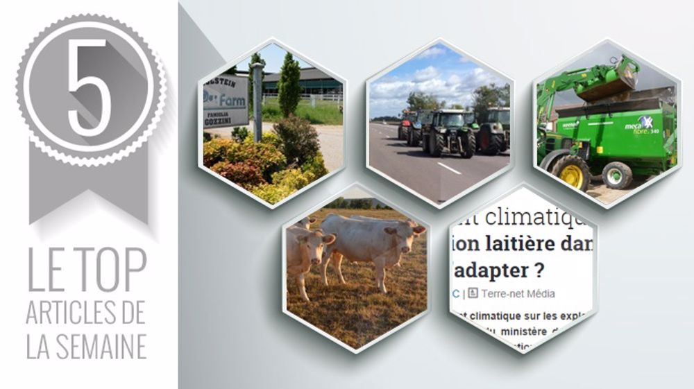 Les articles les plus lus cette semaine sur Web-agri (©Terre-net Média) Les articles les plus lus cette semaine sur Web-agri (©Terre-net Média)