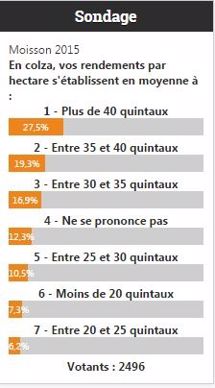 Sondage sur les résultats de rendements en colza.