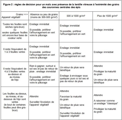 règles de décision pour un maïs avec présence de la lentille vitreuse à l'extrémité des grains des couronnes centrales des épis
