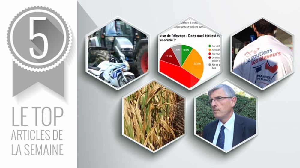 Le Top articles de Web-agri cette semaine. (©Terre-net Média) Le Top articles de Web-agri cette semaine. (©Terre-net Média)