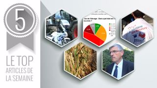 Le Top articles de Web-agri cette semaine. (©Terre-net Média) Le Top articles de Web-agri cette semaine. (©Terre-net Média)