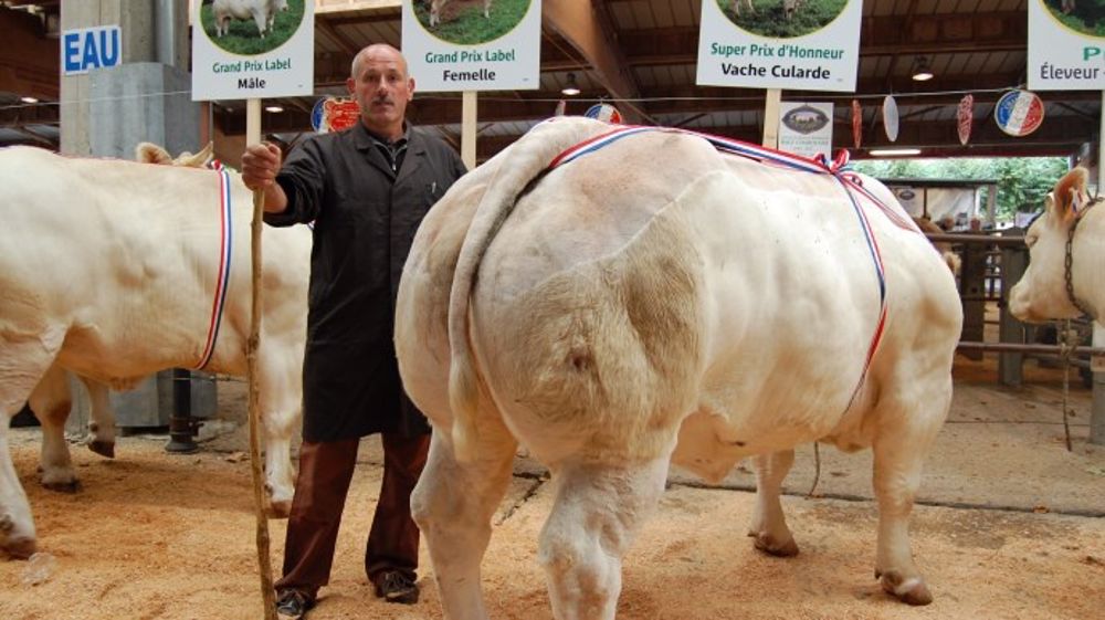 Le super prix d'honneur vache cularde revient à Daniel Lorton. (©Acti-Ouest)