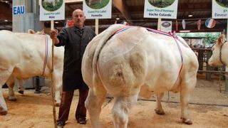 Le super prix d'honneur vache cularde revient à Daniel Lorton. (©Acti-Ouest) Le super prix d'honneur vache cularde revient à Daniel Lorton. (©Acti-Ouest)