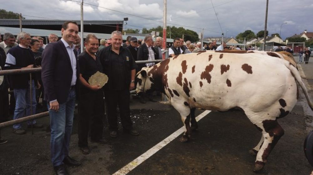 Championne inter-races femelle (7328) appartenant à Jacky Lelong et vendue à Socopa Cherré à 18 euros le kilo carcasse, pour le Super U de Noisy le Roy. (©Acti-Ouest) Championne inter-races femelle (7328) appartenant à Jacky Lelong et vendue à Socopa Cherré à 18 euros le kilo carcasse, pour le Super U de Noisy le Roy. (©Acti-Ouest)