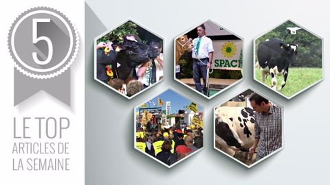 Les 5 articles les plus lus cette semaine sur Web-agri. (©Terre-net Média)