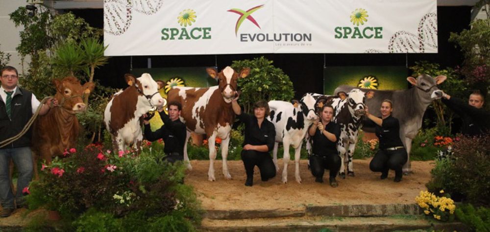 La Vente Genomic Elite 2015 s'affirme comme vente multi-races avec pas moins de 6 races au catalogue ! (©DR)