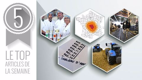 Top articles de la semaine sur Web-Agri. (©Terre-net Média)