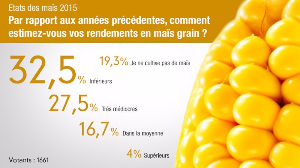 Sondage sur les rendements en maïs grain diffusé sur Terre-net.fr du 7 au 17 semptembre. (©Terre-net Média)