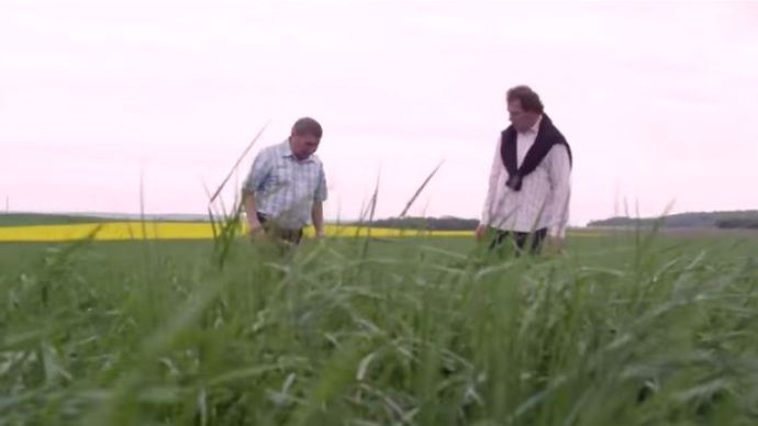 En Aquitaine, 405 agriculteurs sont impliqués dans des groupements d'intérêt économique et environnemental.