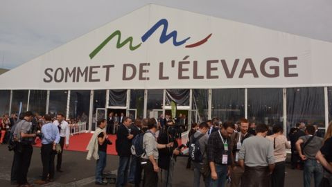 Le Sommet de l'élevage ouvre ses portes sans bovins cette année. (©Terre-net Média)