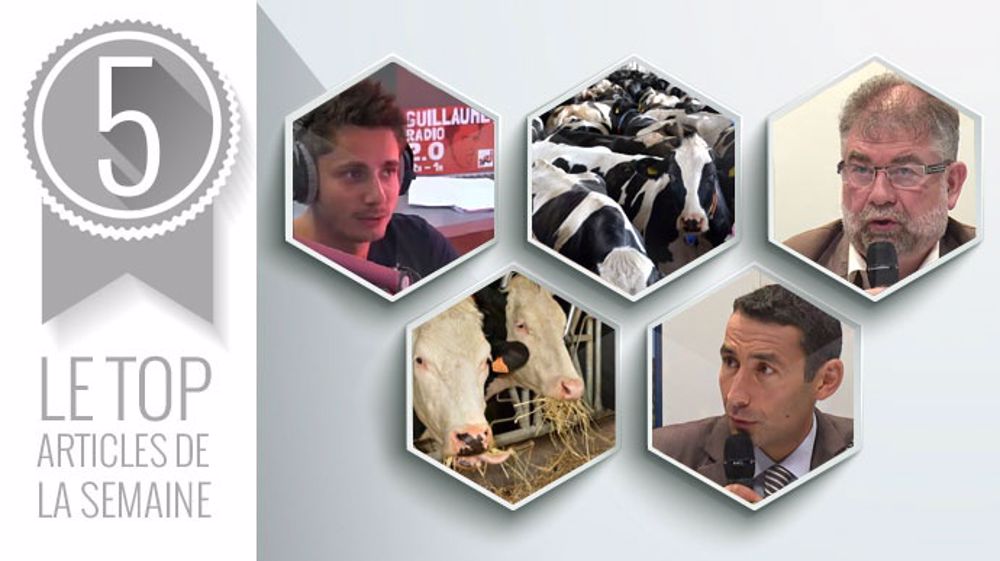 Les cinq articles les plus lus sur Web-agri cette semaine. (©Terre-net Média) Les cinq articles les plus lus sur Web-agri cette semaine. (©Terre-net Média)