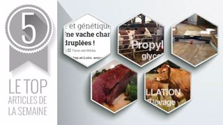 Top articles de la semaine sur Web-Agri. (©Terre-net Média) Top articles de la semaine sur Web-Agri. (©Terre-net Média)