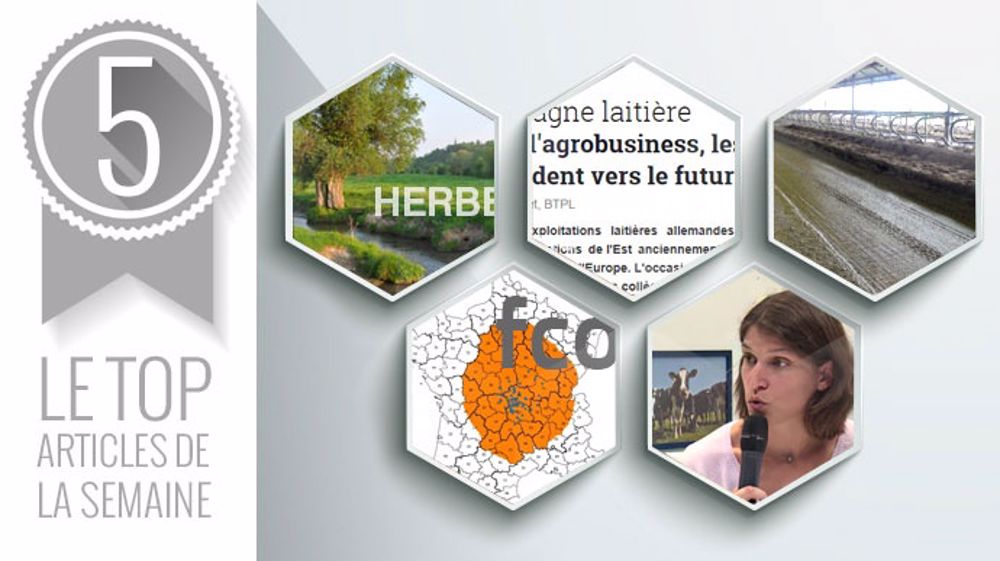 Les cinq articles les plus lus sur Web-agri cette semaine. (©Terre-net Média) Les cinq articles les plus lus sur Web-agri cette semaine. (©Terre-net Média)