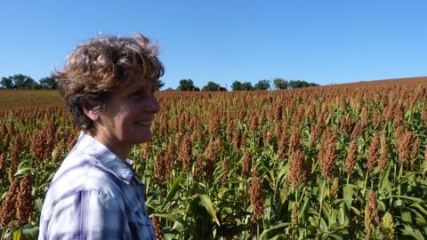 Josiane Delteil : « Côté matériel, la moissonneuse-batteuse est en Cuma, montée il y a deux ans par six agriculteurs, le déchaumeur et la herse plate en copropriété avec un voisin, le restant du matériel m'appartient. » (©Terre-net Média)