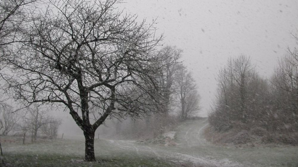 Des giboulées de pluie et de neige sont attendues en plaine ce week-end. (©Terre-net Média)
