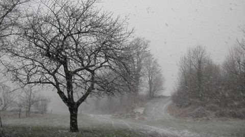 Des giboulées de pluie et de neige sont attendues en plaine ce week-end. (©Terre-net Média)