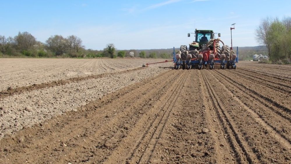 Maïsadour suit l'agriculteur du semis jusqu'à l'interculture. (©Terre-net Média)