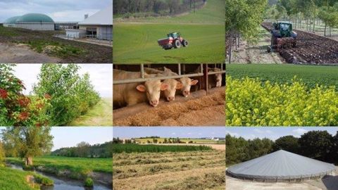 Les agriculteurs disposent de marges de manœuvre non négligeables pour réduire l'empreinte carbone de leur exploitation et, selon les actions mises en œuvre, baisser le niveau des charges. (©Terre-net Média) Les agriculteurs disposent de marges de manœuvre non négligeables pour réduire l'empreinte carbone de leur exploitation et, selon les actions mises en œuvre, baisser le niveau des charges. (©Terre-net Média)