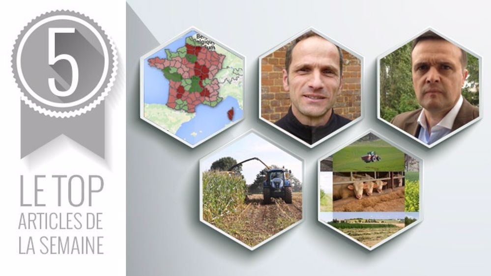 Top articles de la semaine sur Terre-net (©Terre-net Média)