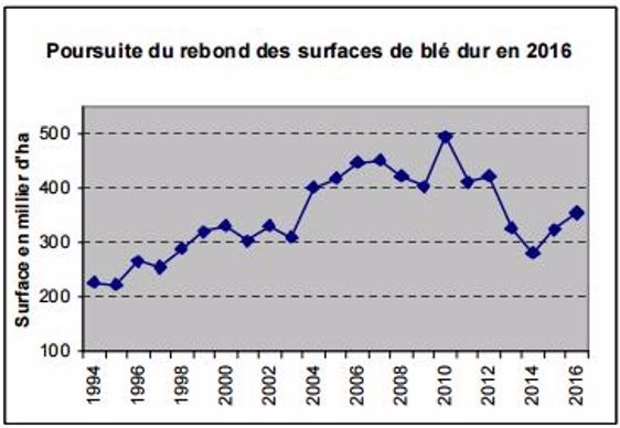 Evolution des surfaces de blé dur en France.