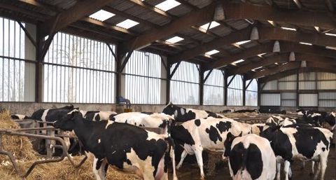 La loi de finances rectificative pour 2015 va instaurer un dispositif de suramortissement des bâtiments d'élevage à partir du 1er janvier 2016. (©Terre-net Média) La loi de finances rectificative pour 2015 va instaurer un dispositif de suramortissement des bâtiments d'élevage à partir du 1er janvier 2016. (©Terre-net Média)