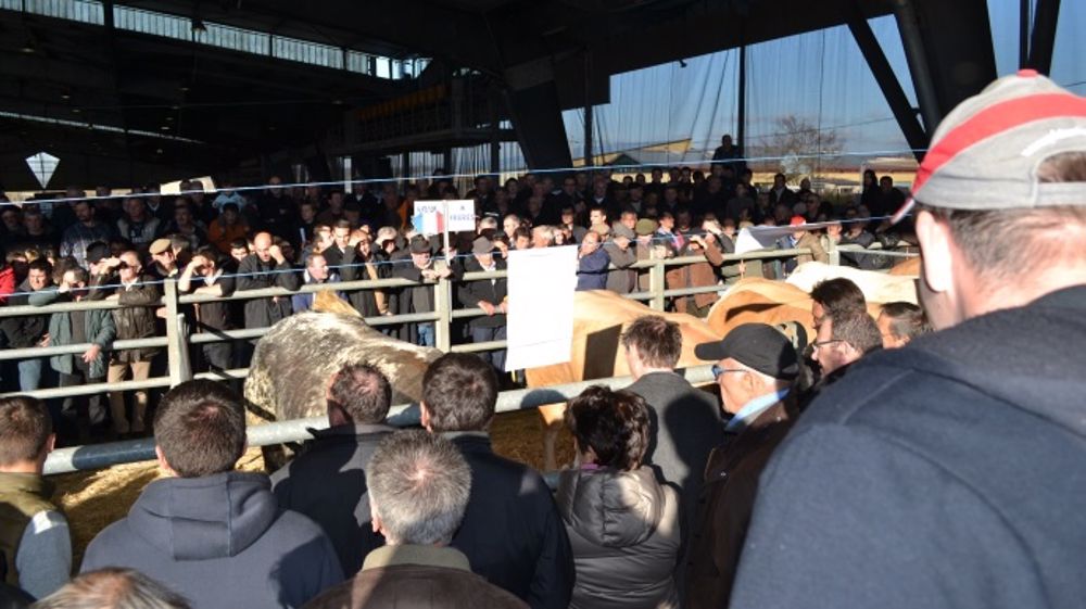 Concours de Laissac du 5 décembre 2015. (©Acti-Ouest)