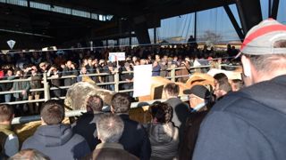 Concours de Laissac du 5 décembre 2015. (©Acti-Ouest) Concours de Laissac du 5 décembre 2015. (©Acti-Ouest)