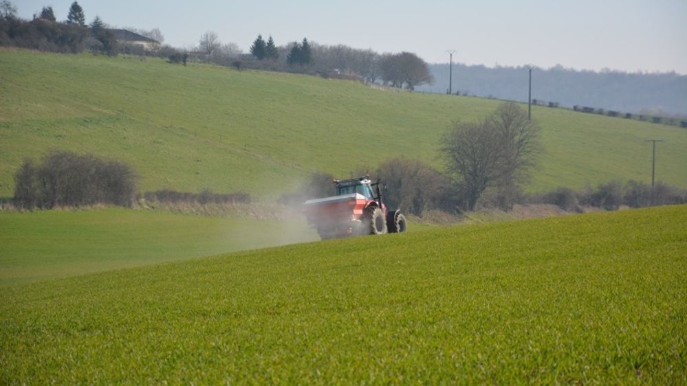Il serait hasardeux et contre-productif de se baser sur une campagne atypique comme 2014/2015 pour gérer sa fertilisation azotée. (©Terre-net Média)