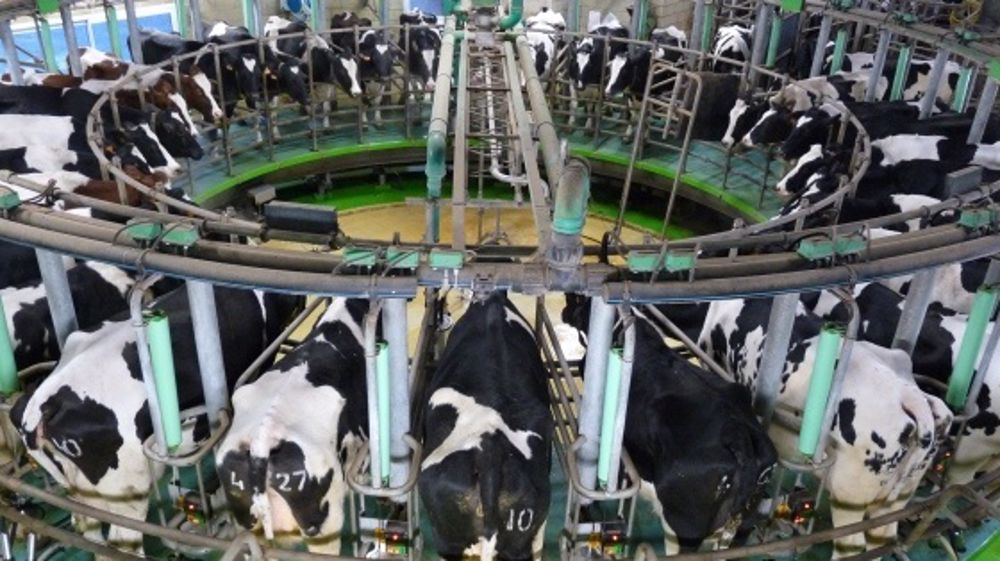 La filière laitière française serait classée première sur dix au regard de 42 critères de compétitivité, selon FranceAgriMer. (©Terre-net Média)