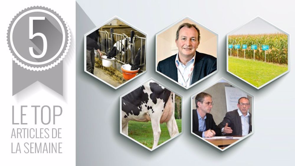 Les cinq articles les plus lus sur Web-agri cette semaine. (©Terre-net Média) Les cinq articles les plus lus sur Web-agri cette semaine. (©Terre-net Média)