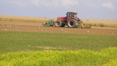 Le décret supprime l'obligation d'implanter un couvert au 31 mai sur les terres arables. (©Terre-net Média)