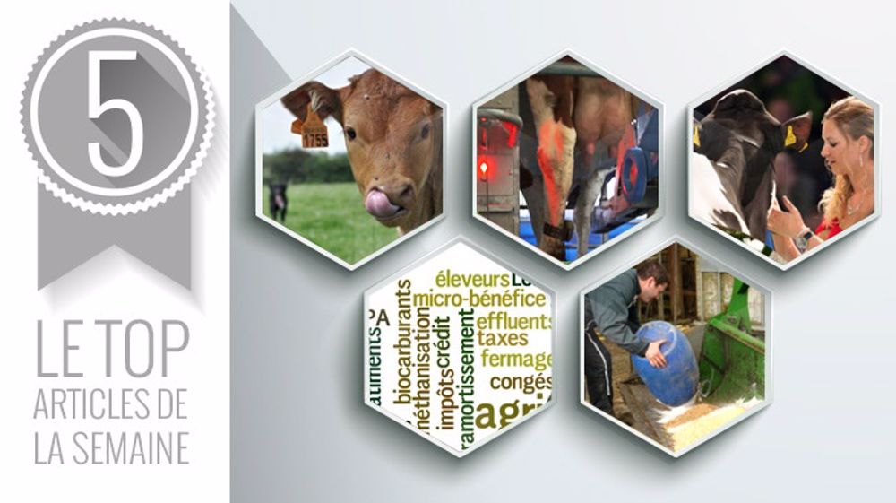 Les cinq articles les plus lus sur Web-agri cette semaine. (©Terre-net Média ) Les cinq articles les plus lus sur Web-agri cette semaine. (©Terre-net Média )