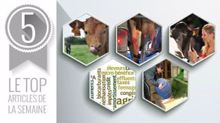 Les cinq articles les plus lus sur Web-agri cette semaine. (©Terre-net Média ) Les cinq articles les plus lus sur Web-agri cette semaine. (©Terre-net Média )
