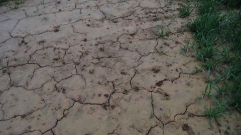 En raison du manque de pluie, les besoins d’importations en céréales des pays du Maghreb pour 2016-2017 pourraient augmenter. (©Terre-net Média)