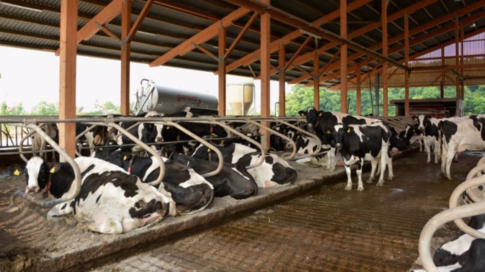 (©Terre-net Média)