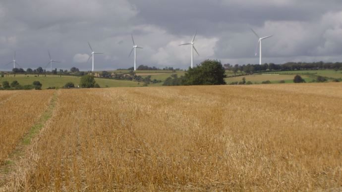 Paysage agricole