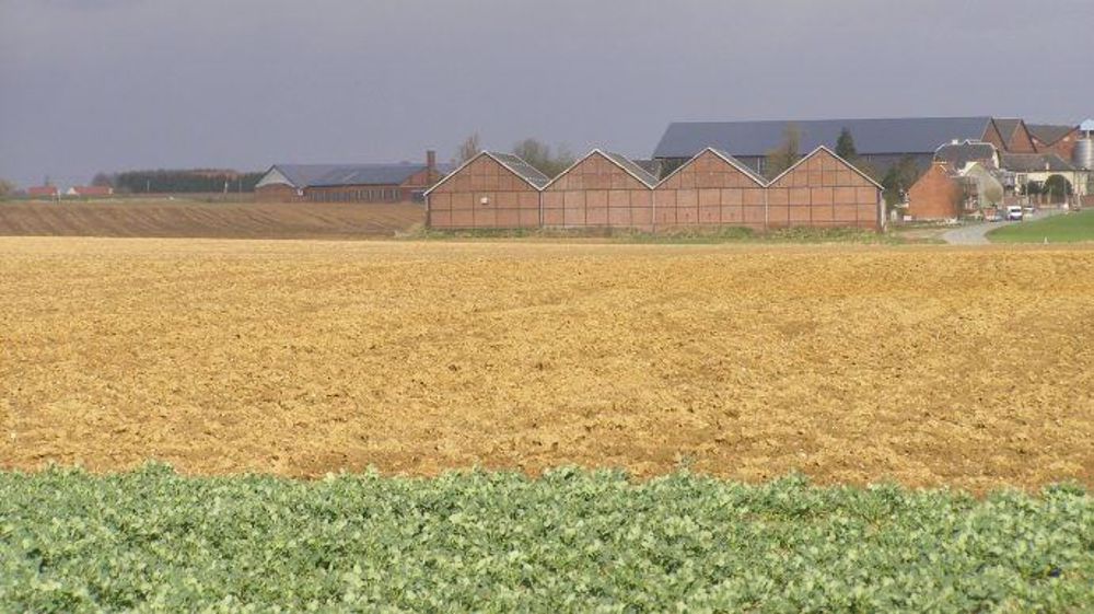 Il existe trois méthodes d'évaluation des parts sociales d'une société agricole :  la valeur patrimoniale, la valeur de rendement et l’approche financière. (©Terre-net Média)