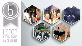 Les articles les plus lus sur Web-agri cette semaine (©Terre-net Média) Les articles les plus lus sur Web-agri cette semaine (©Terre-net Média)