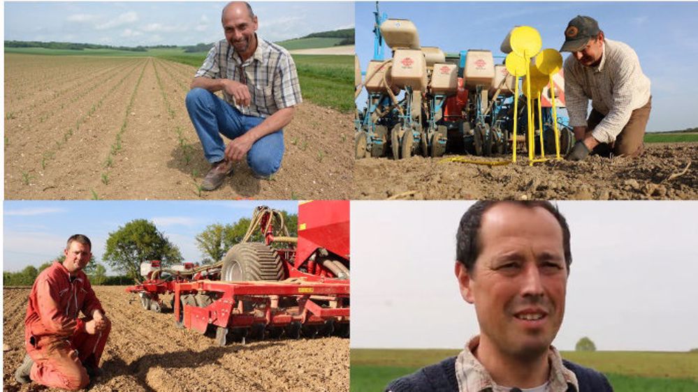Semis en quinconce, strip-till, sursemis, association d’espèces... Bilan après la récolte. (©Terre-net Média)