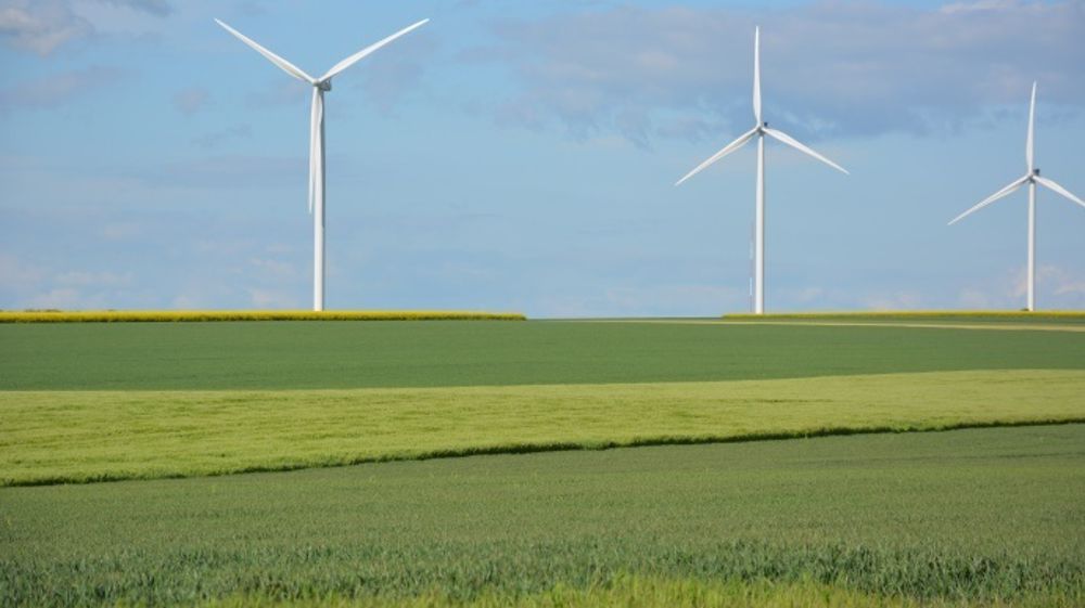 Les <strong>cours du blé</strong> ont profité d'éléments favorables sur la demande internationale. (©Terre-net média)