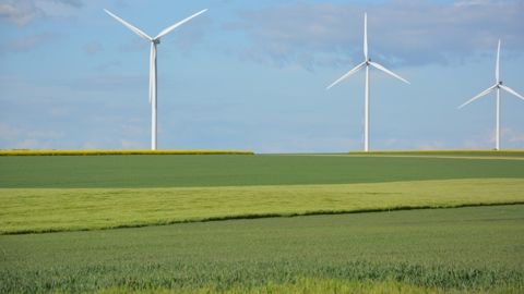 Les <strong>cours du blé</strong> ont profité d'éléments favorables sur la demande internationale. (©Terre-net média) Les <strong>cours du blé</strong> ont profité d'éléments favorables sur la demande internationale. (©Terre-net média)