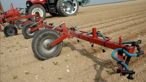La localisation de l'herbicide réduit de moitié, voire de deux tiers la surface couverte par le traitement. (©ITB) La localisation de l'herbicide réduit de moitié, voire de deux tiers la surface couverte par le traitement. (©ITB)