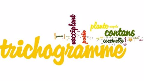 Les termes associés au biocontrôle par les producteurs de grandes cultures. (©Datagri) Les termes associés au biocontrôle par les producteurs de grandes cultures. (©Datagri)