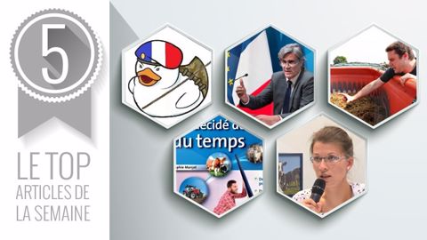 Les cinq articles les plus lus sur Web-agri cette semaine. (©Terre-net Média) 