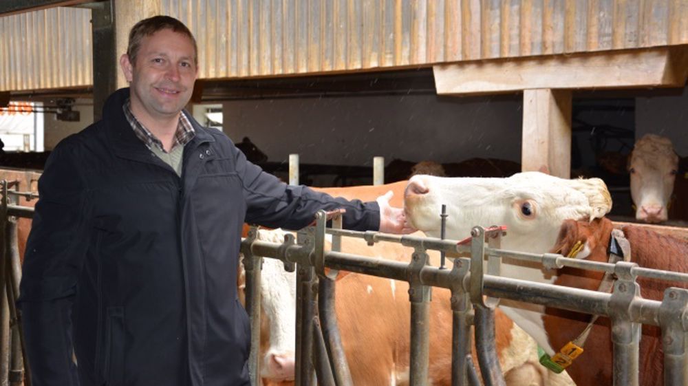 Edouard Stockinger perçoit 0,30 € du litre de lait en décembre, à peine l’équivalent de son coût de production, alors que le prix du lait variait entre 0,40 et 0,45 € en 2014. L’exploitation est également rétribuée par un programme de soutien « à la production laitière durable ». (©Terre-net Média) 