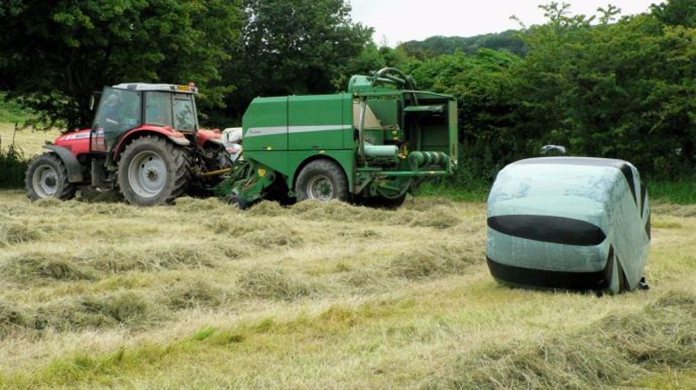 L'échauffement du foin, pouvant mener à son autocombustion, entraîne des pertes de matière sèche pouvant aller jusqu’à 25 % du fourrage récolté initialement.  (©Terre-net Média)